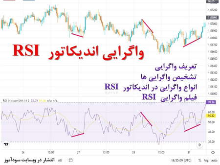 افزایش علاقه نهنگهای رمزارزی به بیبی دوج