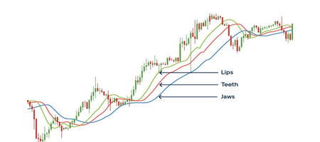 دلایل جذابیت بازار آتی کالا