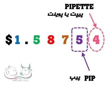 بخش سپرده گذاری یا staking صرافی کوینکس