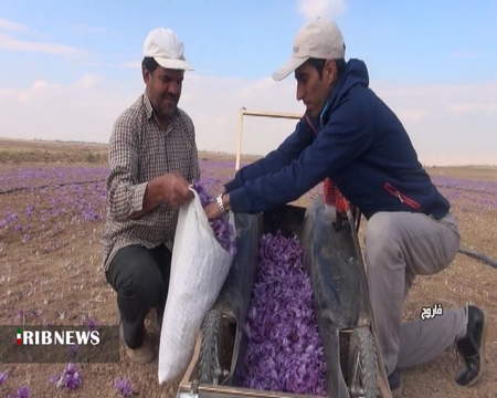 لیست رباتهای سرخطی در بورس